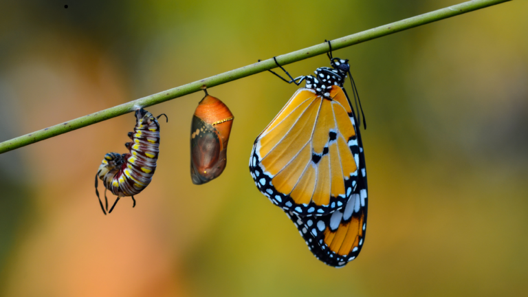 When to refresh your GRC platform - blog | CoreStream GRC