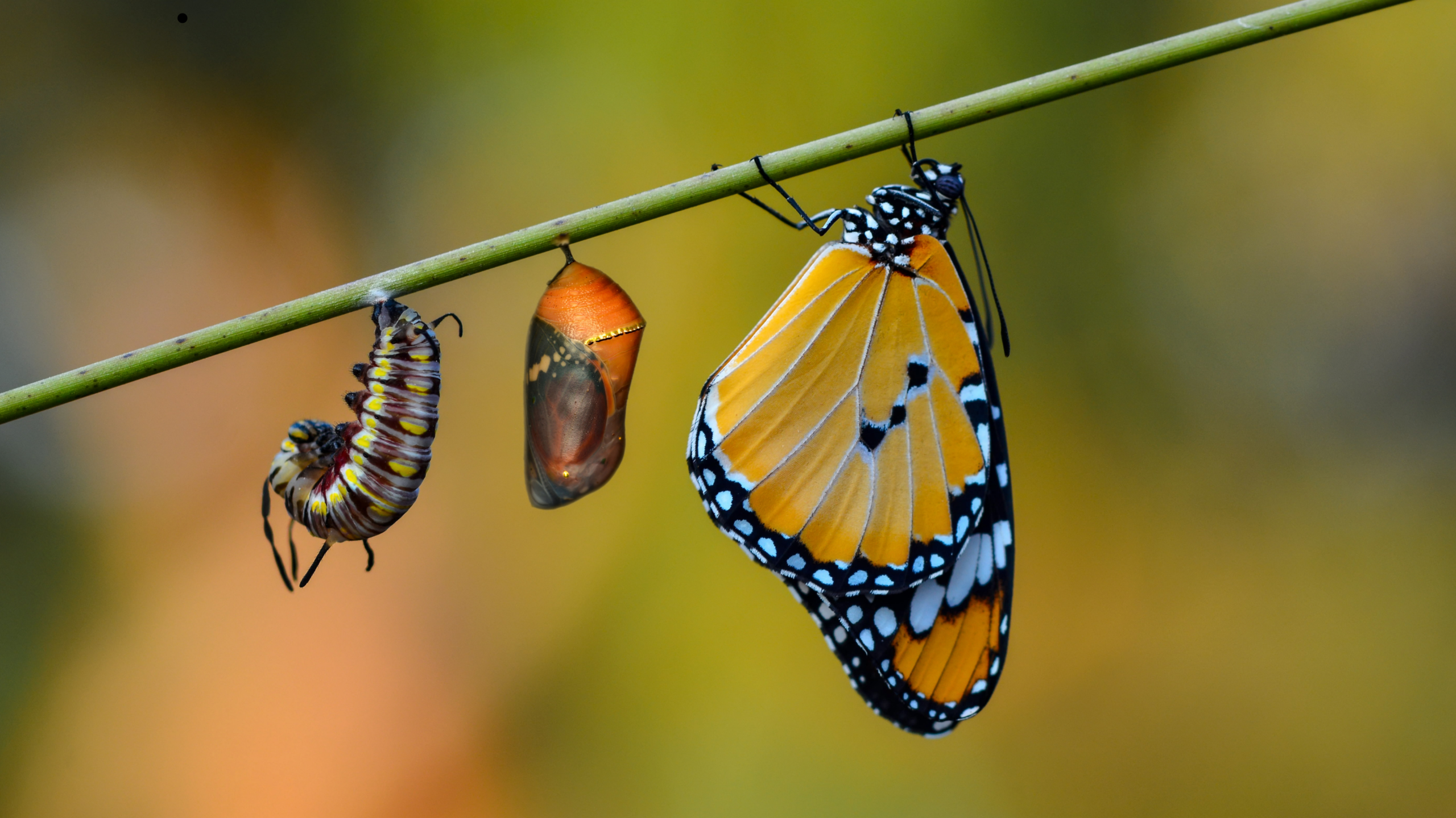 Why GRC platforms need to keep pace with business change