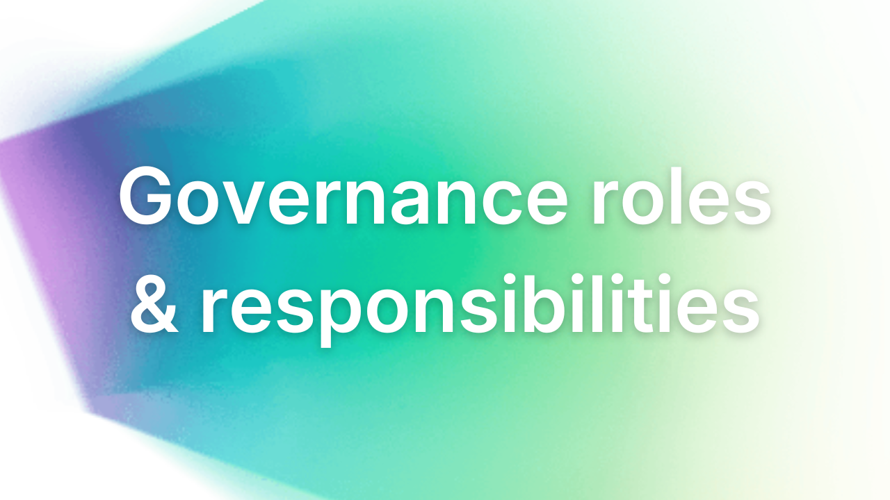 Governance roles and responsibilities