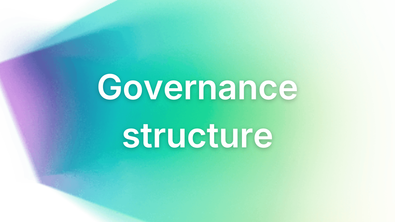 Governance structure