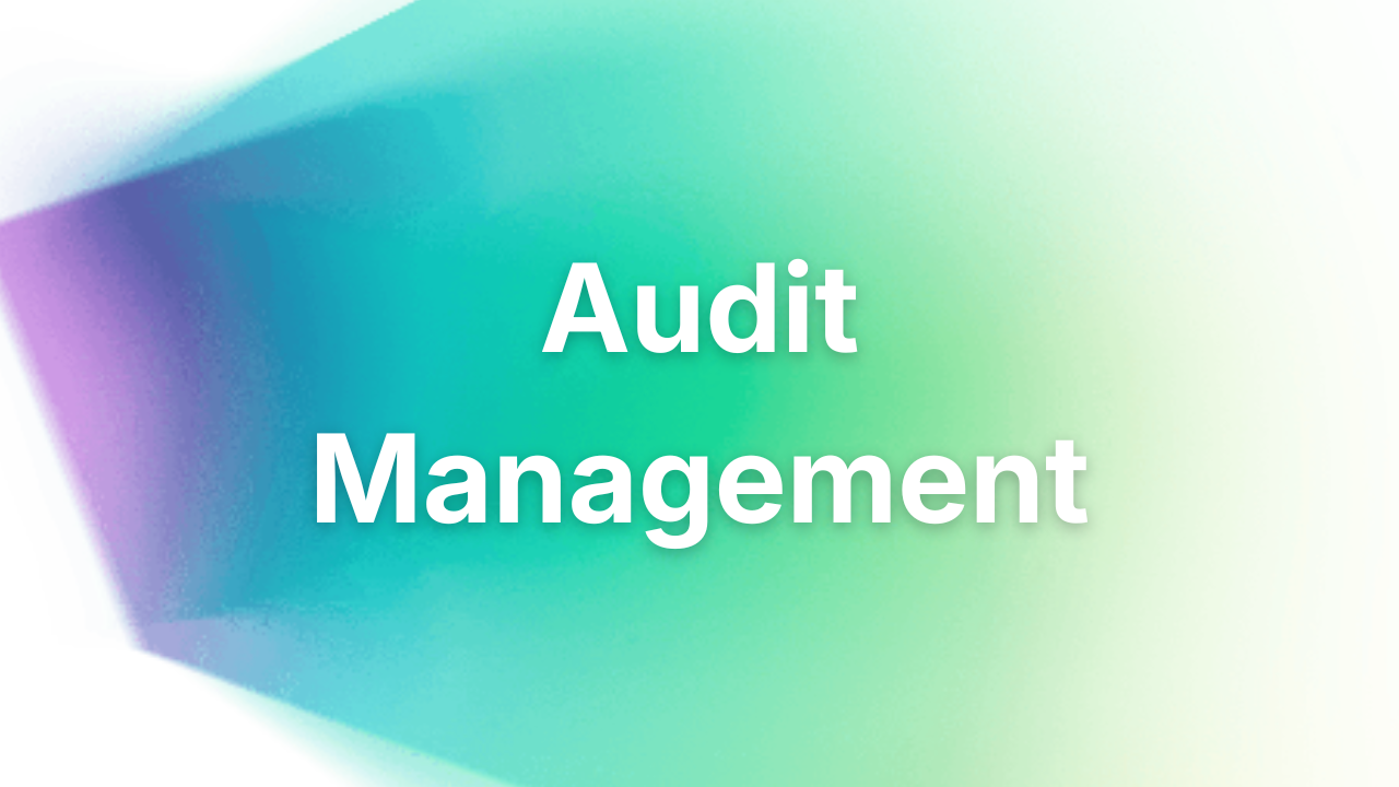 Audit management